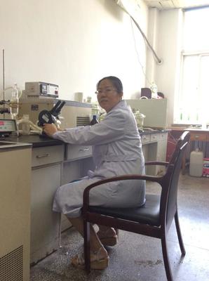 材料科学领域的耕耘者——佟静教授学术简介